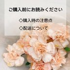 作品ご購入前にお読みください