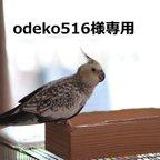 作品odeko516様用 刻印本革レザーブレスレットセット