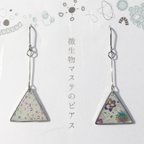 作品微生物マステのピアス【虹△】