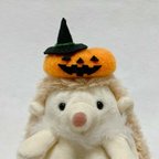 作品<10月3日(日)21:00~発売>ハロウィンヅラ🎃ジャック・オ・ランタンヅラ