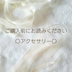 作品◆ご購入前にお読みください・アクセサリー◆