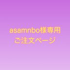 作品asamnbo様専用ご注文ページ