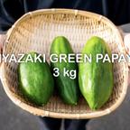 作品【3kg】宮崎グリーンパパイア《酵素の王様＆スーパーフード＆メディカルフルーツ》