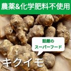 作品キクイモ《農薬・化学肥料不使用》生 土付き 長持ち 生 1kg 山梨県ホクト産 国産 掘りたて送ります 土付き長持ち スーパーフード 生でも火を通しても