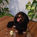 作品【オーダー】羊毛フェルト犬猫  20～30cm シェルティ プードル ポメラニアン 他