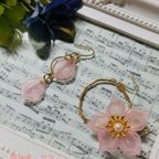 作品《春季限定》透ける桜のピアス/イヤリング