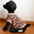 作品犬服   ❋  タンクトップ ・ トレーナー    レオパード柄