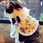 作品 愛猫、愛犬のお洋服「冬のブルーローズポンチョ」