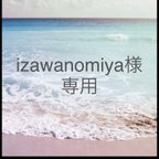 作品izawanomiya様専用