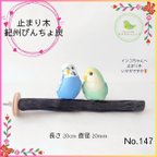 作品紀州備長炭 止まり木　びんちょ炭 20㎝ No.147 備長炭 パーチ とまり木 爪とぎ