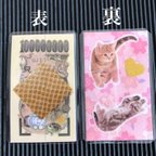 作品【送料無料】蛇の抜け殻（ピンク桜と猫）