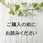 作品▼ご購入の前に必ずお読みください