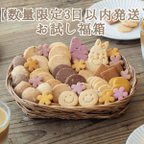 作品【数量限定・3日以内発送】【お試し福箱】見つけたタイミングのおまかせお米焼菓子詰合せ【グルテンフリー＆ヴィーガン】