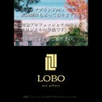 作品lobo art affect  作曲・PV制作