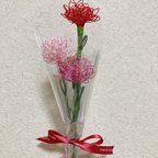 作品【carnation】　-カーネーション-