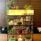 作品屋上付き植物ホテル