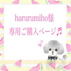 作品harurumiho様 専用ご購入ページ♪