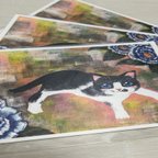 作品猫のポストカード３枚入りセット　No.７
