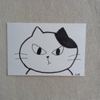 作品ねこ　猫　絵　手書き　原画　イラスト