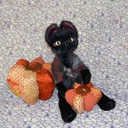 作品着せ替え人形・ちび猫マルガリータ・ハロウィンのカボチャセット・黒猫
