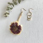 作品【sale】ジニア❁ピアス(イヤリング)