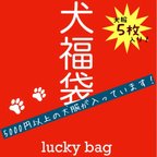 作品犬福袋🐾犬服5枚セット🐾