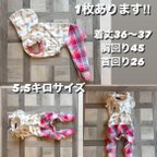 作品イタグレ　イタグレの服　イタグレ服