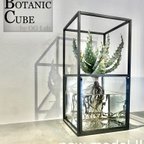 作品★Botanic Cube 2nd model★