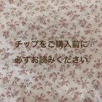 作品ご購入の前に必ずお読み下さい。