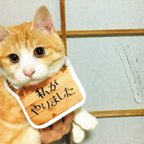 作品ちゃしろ猫ミャアーのオリジナルポストカード-いたずら