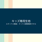 作品【オーダー用】生地見本＊オックス/シーチング