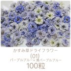 作品(01)かすみ草ドライフラワー100粒