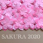 作品折り紙の桜 2020