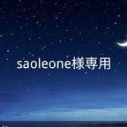 作品saoleone様専用ページ