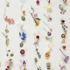 作品手作りキット✳︎フラワーカーテン✳︎ウォールフラワー✳︎フラワーガーランド✳︎ドラフラワー✳︎お花の吊り飾り