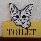 作品トイレ　猫　ＴＯＩＬＥＴ　ねこ　かわいい　ドア　プレゼント　ペット　壁掛け　置物