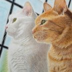 作品オーダーメイド　色鉛筆画　猫の絵　犬の絵　似顔絵　ねこ　いぬ　肖像画　ペットロス