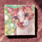 作品【高画質キャンバス】たんぽぽの中の茶トラ猫