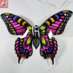 作品◆蝶のビッグクリップ①