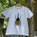 作品手描きヘラクレスオオカブトTシャツ