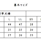 作品■ サイズについて ■