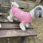 作品★犬服★夏服　モスキートストップTシャツ　選べるワッペン　パステルカラー