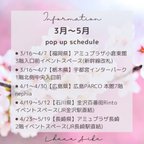 作品【3月〜5月】pop up schedule