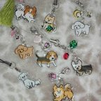 作品【オーダー受注販売】ワンコ　犬　チャームストラップ　キーホルダー　アクリル