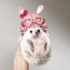 作品小動物用帽子 パイロット帽  うさぎ (cap for small animals)