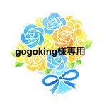 作品gogoking様専用ページ