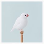 作品小鳥のポストカード「まんまる止まり木」