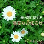 作品＊ご一読ください＊ 発送等に関する  重要なお知らせ