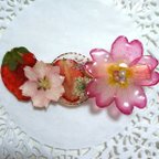 作品送料無料 春の魅力がいっぱい✨本物のお花🌸と苺🍓のヘアクリップ