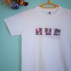 作品光に満たされる薔薇【Ｔシャツ】